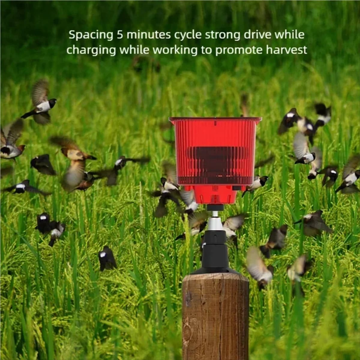Allarme ad energia solare Luce Uccello Animale Repllent Sensore di movimento Rivelatore Sirena Stroboscopica per la casa Frutteto Farm-A74Z