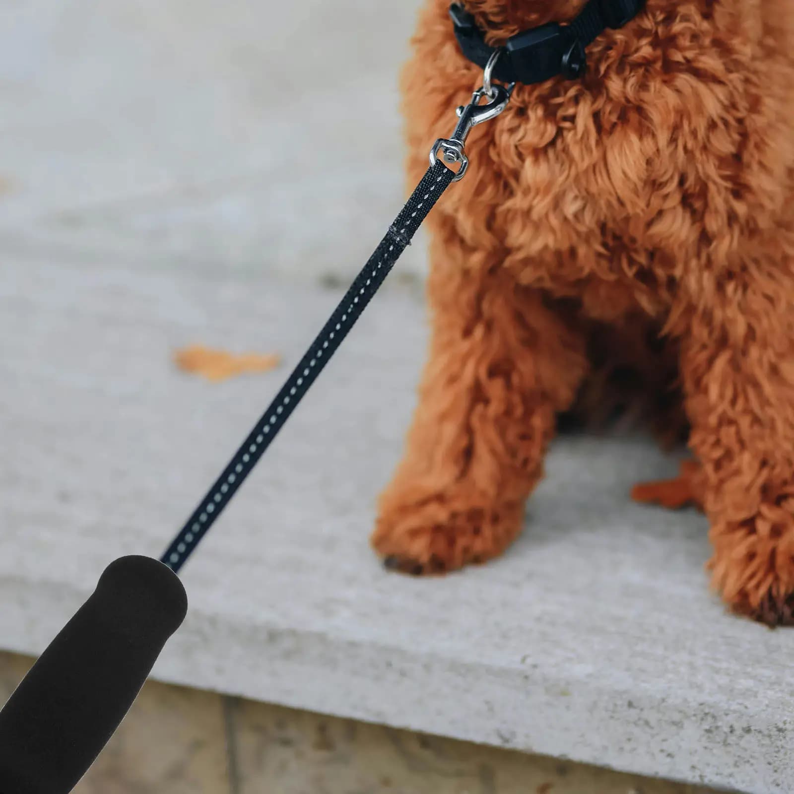 Set di 6 Coperture in Spugna per Guinzaglio per Cani, Impugnatura Ergonomica che Riduce l'Affaticamento della Mano, Set di Protezioni per Guinzaglio