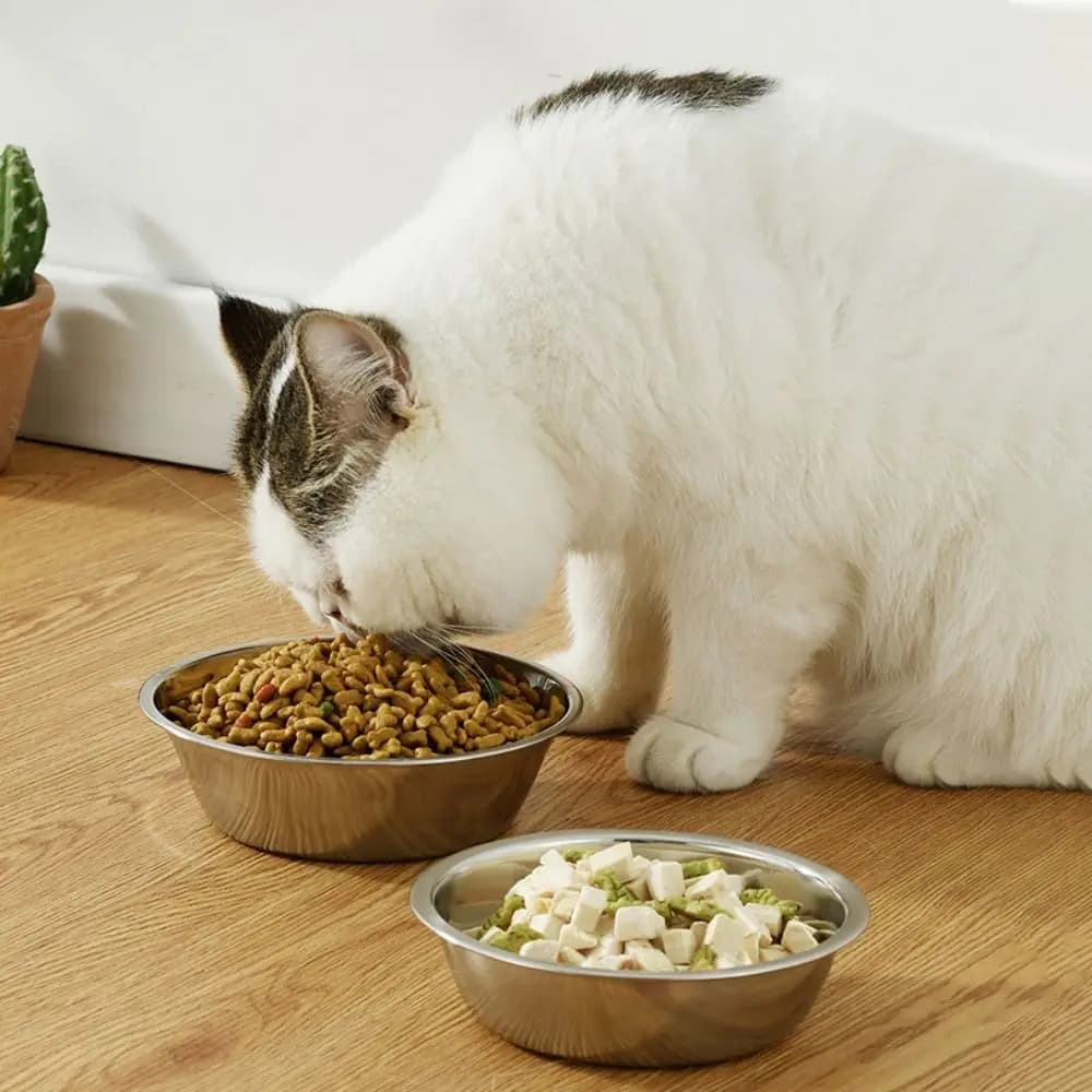 Dog Feeding Bowl Large Capacity Dog Bowl Stainless Steel Non-rust Cat Water Feeder Bowls Silver Pet Food Container Kitten