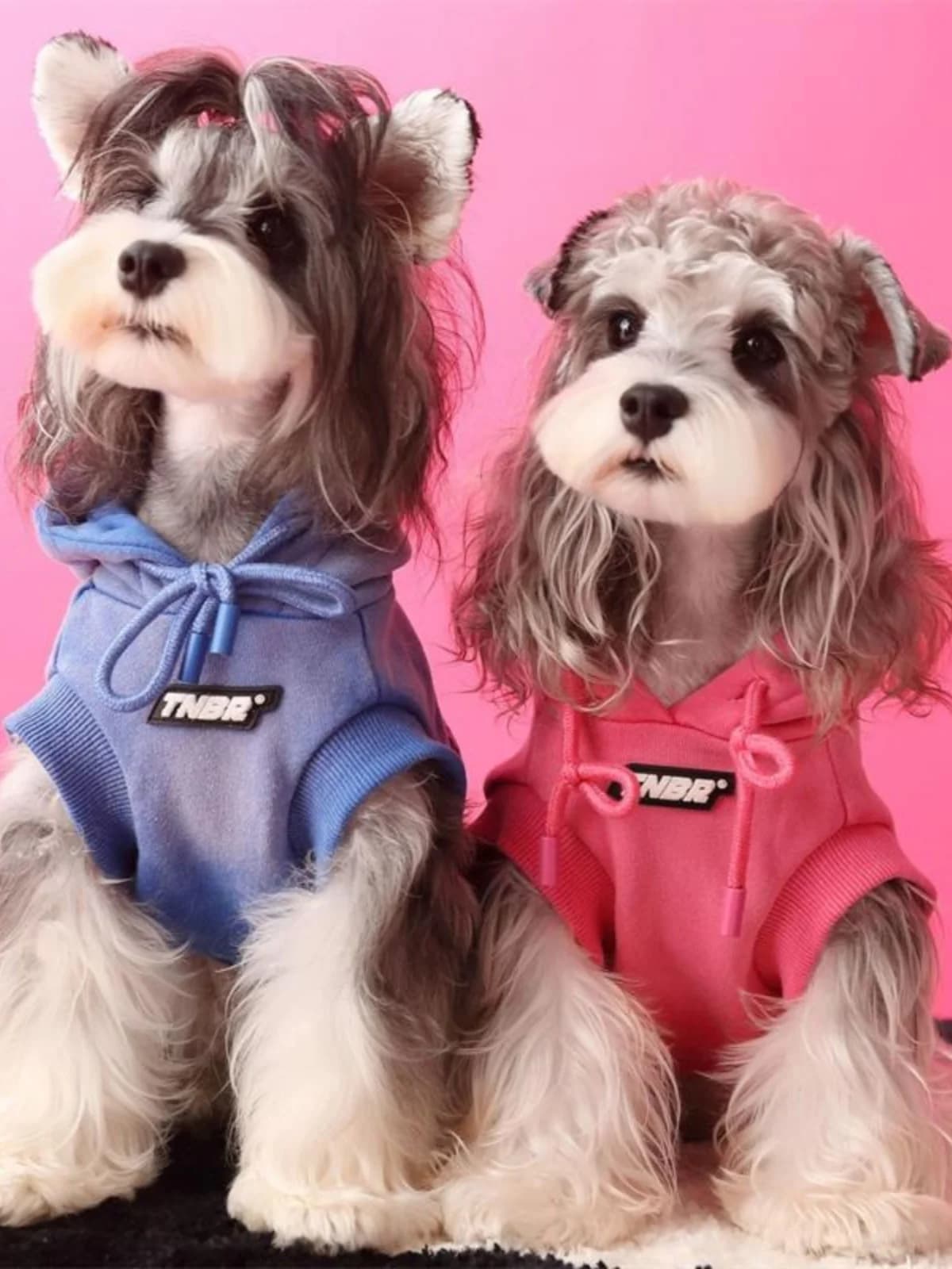 TawneyBear Spring Autumn Svel Hoodie for Dogs And s Snauzer Maltese Chihuahua Printed Warm Cotton Casual Faion