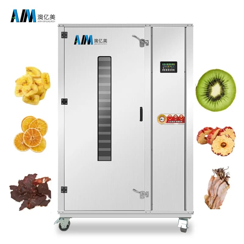 Mango secco/Calamari di frutta/Asciugatura/Macchina disidratatore alimentare ad aria calda/Asciugatrice per vassoi di frutta