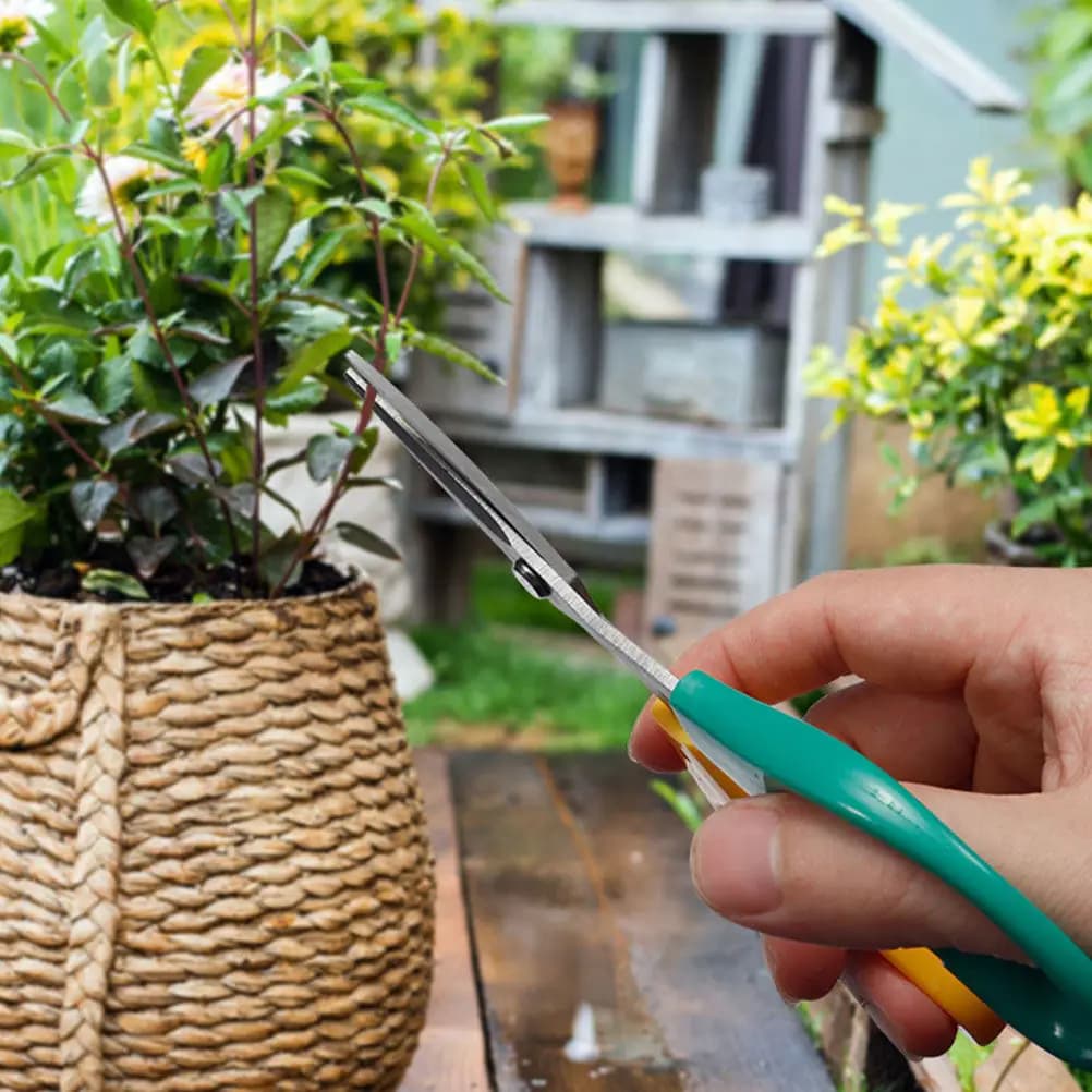 Stainless steel garden scissors, 5 pieces, light, with ergonomic handle, for flower composition, plant pruning, fruit collection
