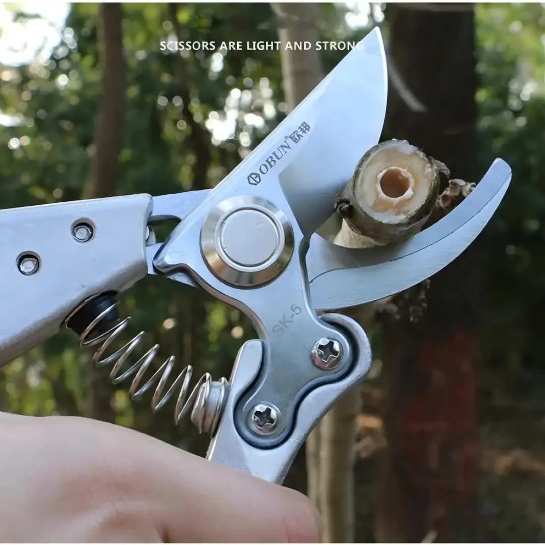 Power Scissors for Professional Cricchetto with Sharp Blade for Fruit Trees, Garden Tools for External Frutteto, Robusto
