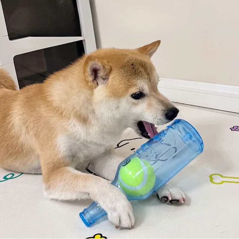 Giocattolo da masticare per animali domestici, resistente ai morsi, a forma di bottiglia di birra con palla da tennis, per la pulizia dei denti dei cuccioli, giocattolo interattivo cigolante per cani