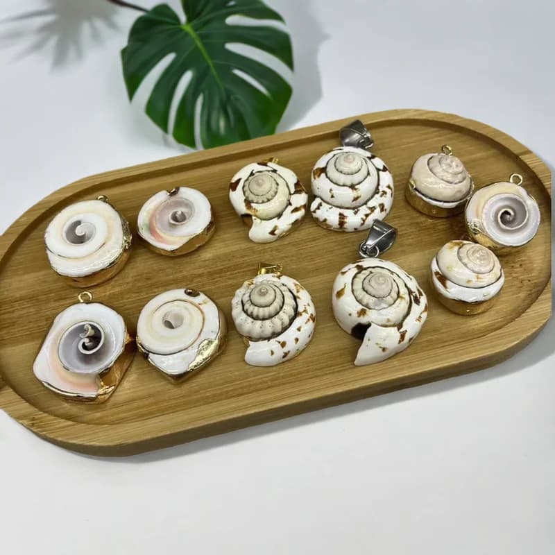 Ciondoli a conchiglia naturale con bordo color oro Ciprea Lumaca Pendenti con conchiglia in madreperla per la creazione di gioielli Collana con orecchini fai da te