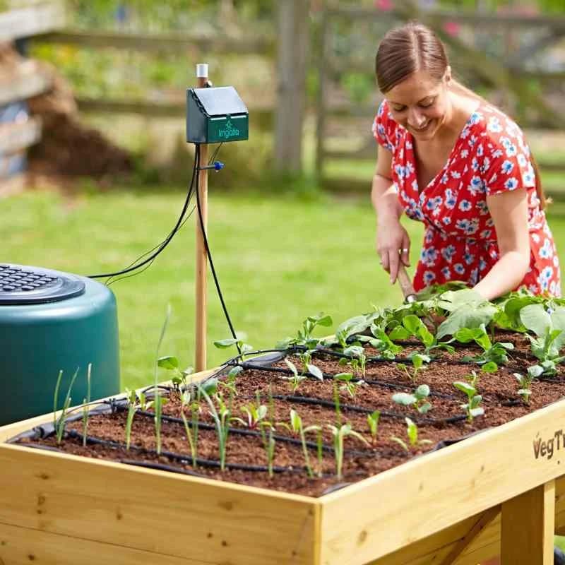 Sistema di pompaggio di pozzi di irrigazione sommergibile ad energia solare da 1 HP 60M DC per prezzo del controller della pompa dell'acqua del pannello solare dell'agricoltura
