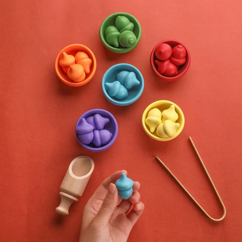 Giocattoli Montessori ghianda in legno Baby Color Sorting giocattolo sensoriale bambini Fine Motor Skill giocattolo educativo per regalo di compleanno per bambini