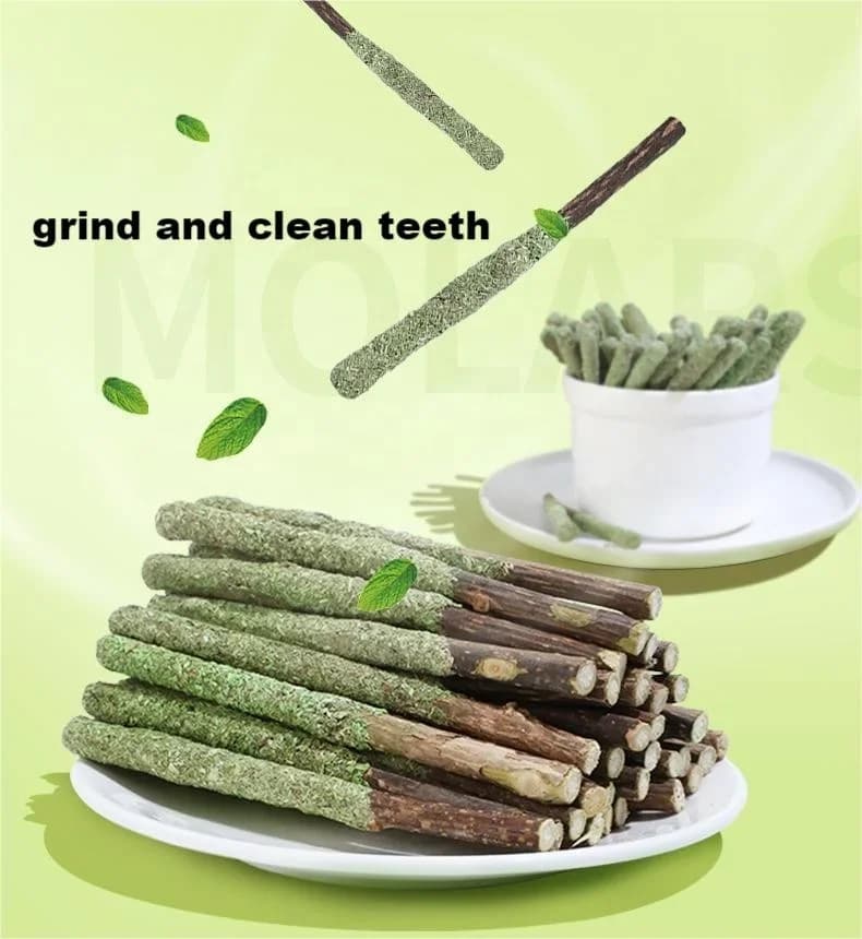 6 bastoncini naturali di Matatabi per gatti, con menta, per stimolare il morso, bastoncini di Silvervine per la pulizia dei denti del gatto, trattamento e gioco per animali domestici