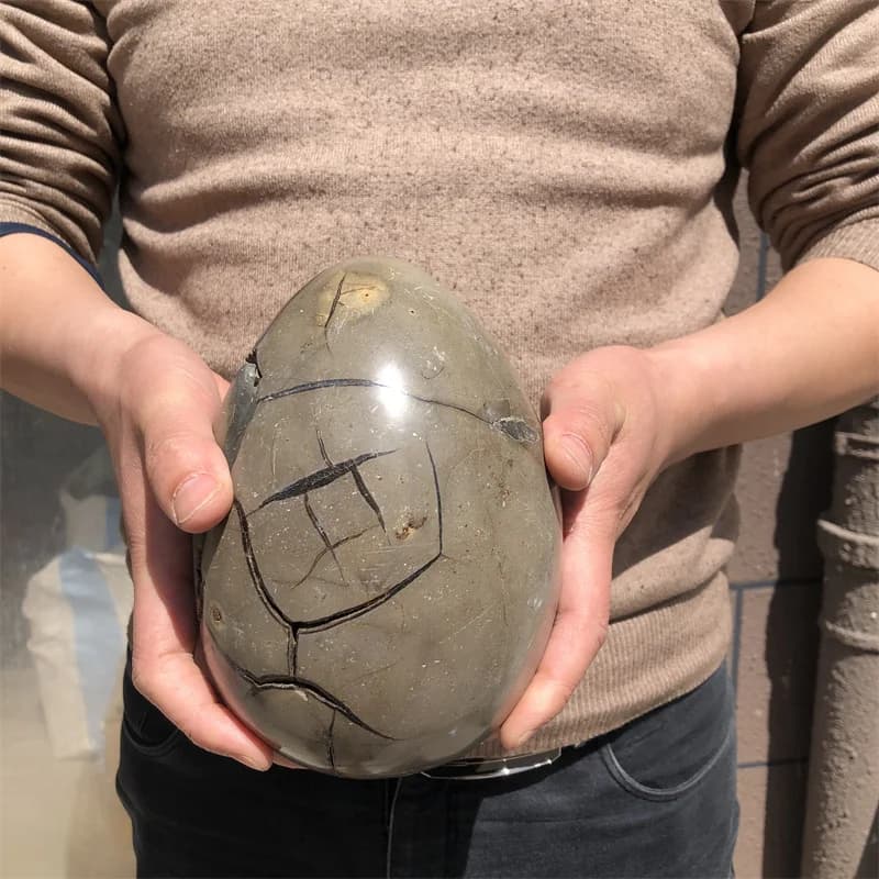 3.25kg Natural curvature of the furnishing articles Turtle grain stone egg Ball Septarian nodule Crystal Healing quartz