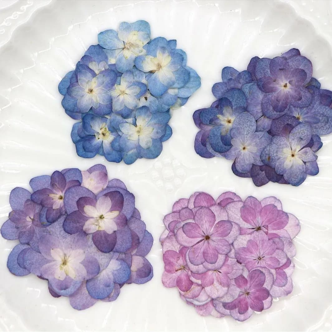 60 Pezzi Mini Ortensie a Doppio Fiore Essiccate, Fiori Pressati per Materiali Fai-da-te, Candele, Segnalibri, Cornici, Lavoretti per Bambini, Lampade da Tavolo, Decorazioni per Unghie, Esemplari