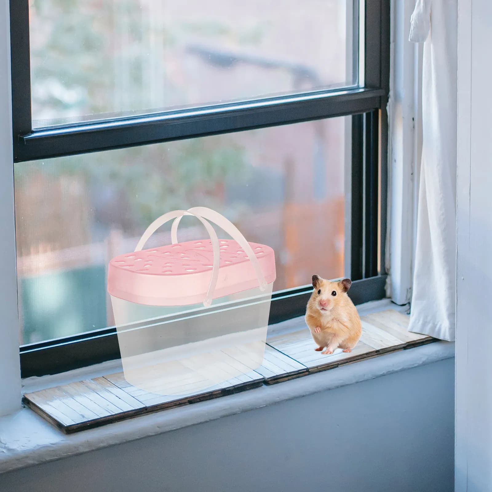 2 Pezzi Gabbia Portatile per Animali Domestici con Coperchio Rinforzato, Trasportino Portatile per Piccoli Rettili, Scatola per Criceti e Tartarughe da Esterno per Animali Domestici Rampicanti