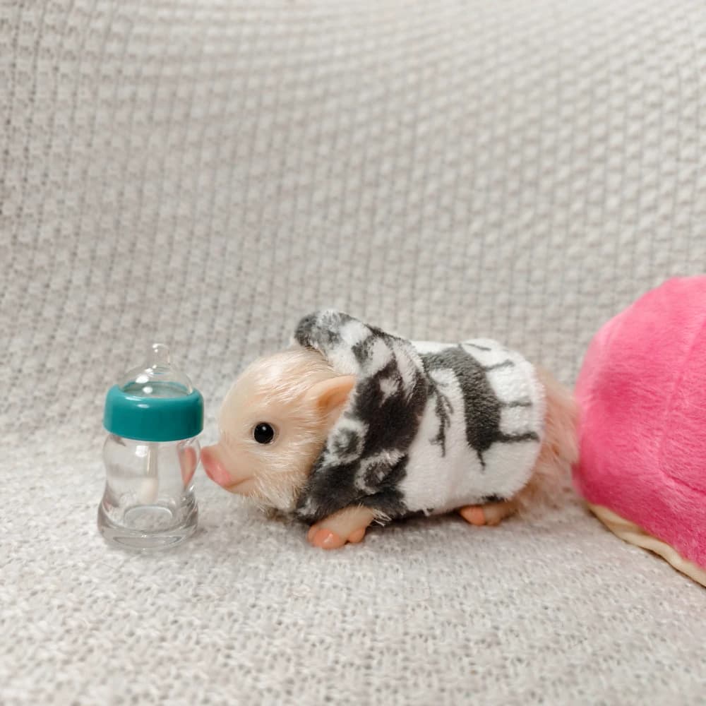 Maialino in silicone da 5 pollici morbido e carino mini animali realistici con accessori regalo giocattolo di decompressione bambola di maiale neonato rinato realistico