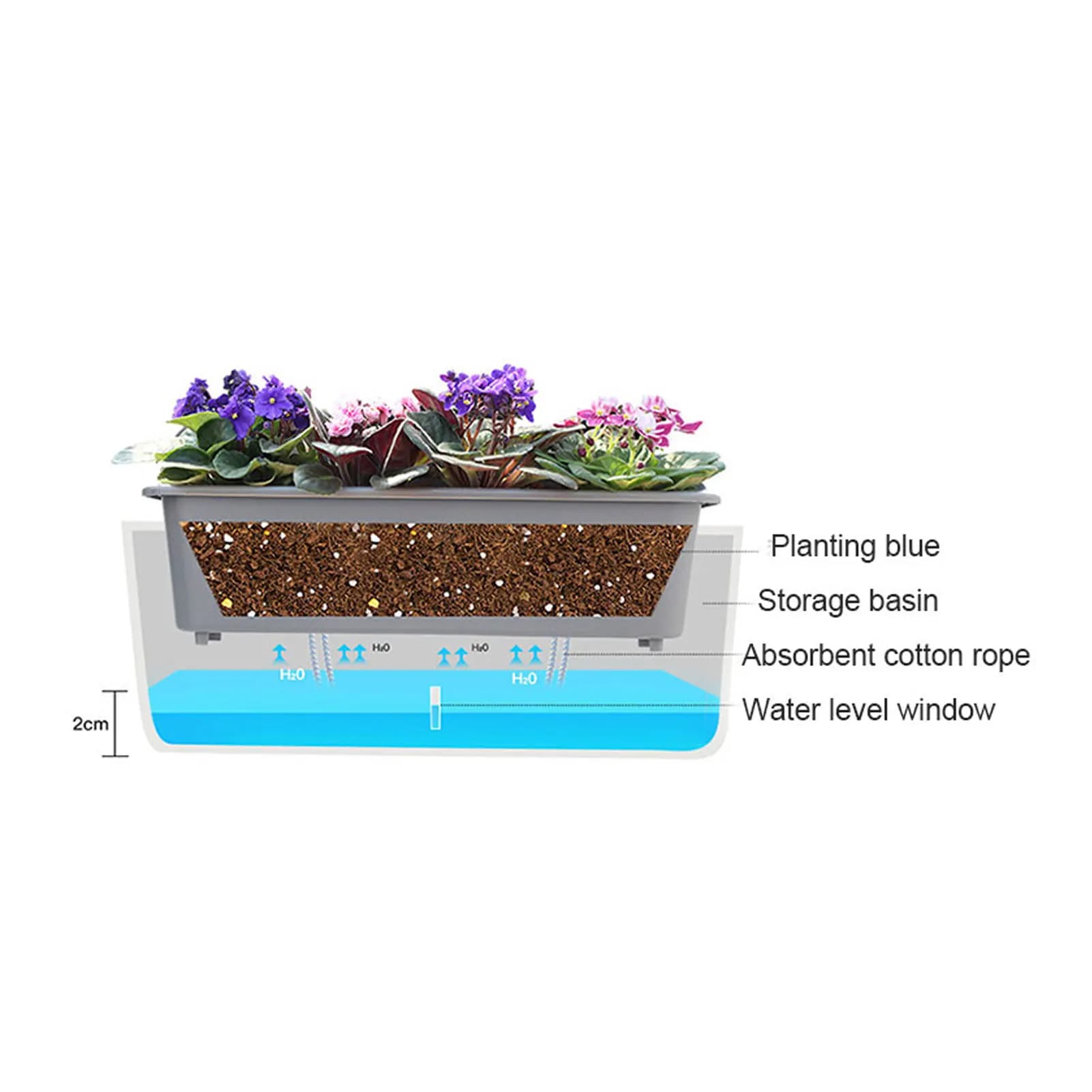 Decorative Autoirrigation Vases for Interior, Planter for Fat Plants, Seeds and Vegetables