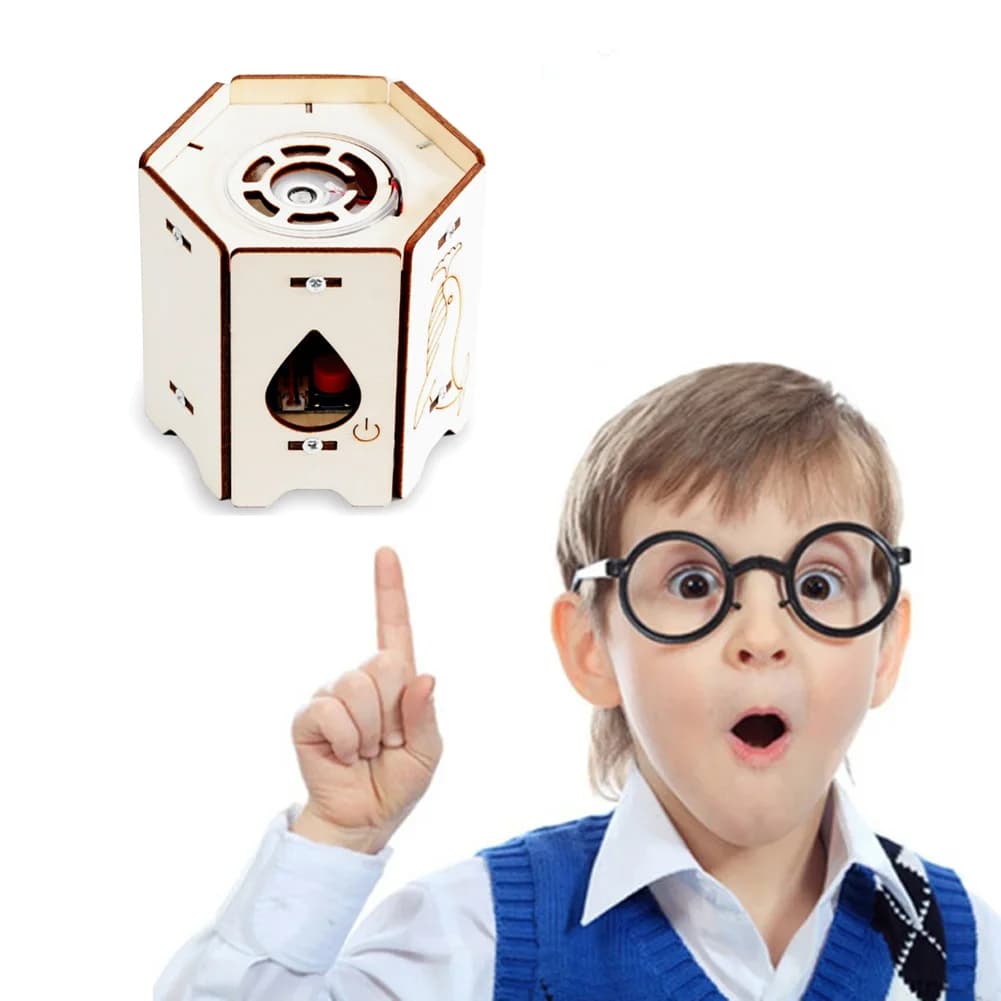 Giocattoli scientifici fai-da-te Salviette intelligenti Riscaldatore Modello Tecnologia Assemblaggio Esperimento Kit di fisica Apprendimento Giocattoli educativi per bambini