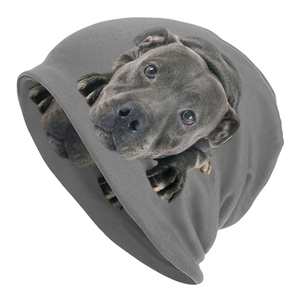 Staffordshire Bull Terrier Skullies Berretti Berretti per uomo Donna Unisex Streetwear Inverno Caldo Cappello di lavoro a maglia Cappelli per cofano per adulti