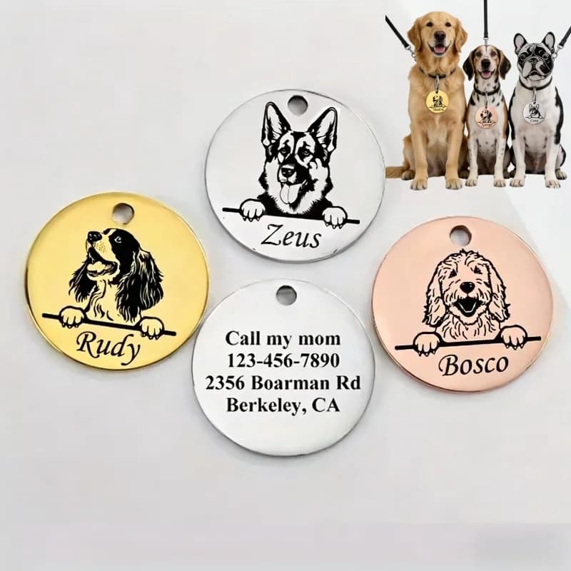 Collari Personalizzati Anti-smarrimento per Cuccioli con Nome Inciso, Targhette in Acciaio Inossidabile Carine per Cani e Gatti, Accessori per Animali Domestici