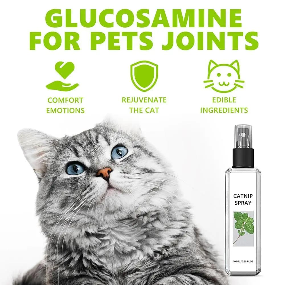 Sedano animali domestici Catnip Spray Joy Herbal Cat Joy Insect Gall Fruit Spray emozionante tiragraffi Dropshipping