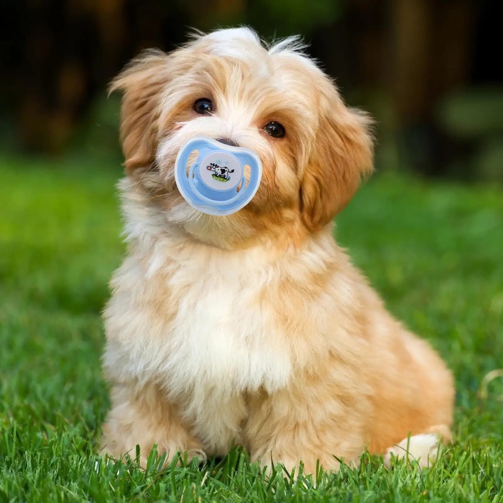 1 Pezzo Pratico Giocattolo Calmante per Animali Domestici, Giocattolo Morbido in Silicone per Cani, Giocattolo da Masticare Resistente ai Morsi per Gatti