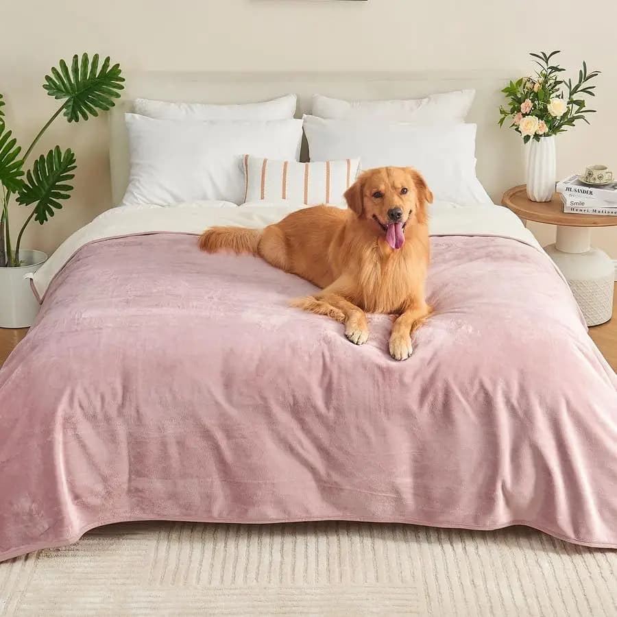 Cover 60x80 for Adults, Reversible Seat Cover Waterproof for Dog Cats Cats Domestic Animals, Bed Anti-slip Soft Cover Furniture Sofa