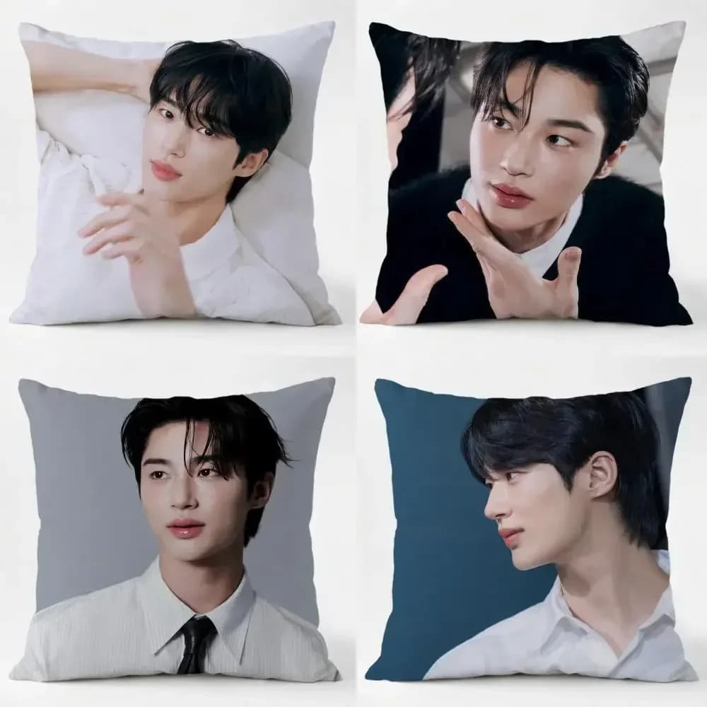 Byeon Woo-seok Cushion Cover comfort Daily Washable Linen Soft for Sofa Bed Home Room Decor