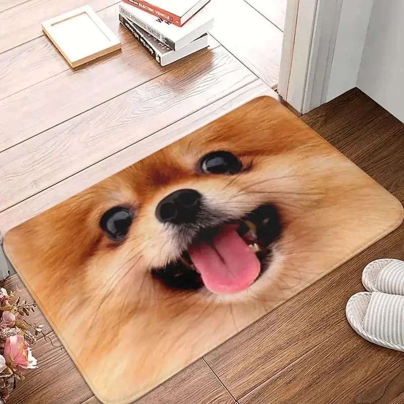 Simpatico cucciolo d'ingresso zerbino modello Pomerania tappeto soggiorno camera da letto cucina tappeto antiscivolo decorazione della casa