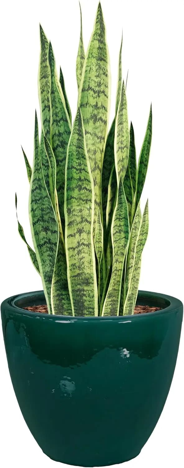 Vaso per Piante in Ceramica Grande Sunnydaze - Fioriera Rotonda da Esterno in Ceramica Smaltata con Drenaggio - Resort - Verde Scuro - 14.5 pollici