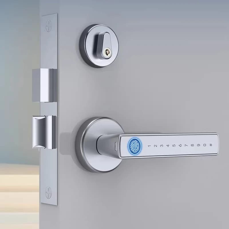 Serratura antieffrazione, serratura con impronta digitale, serratura intelligente per porta di sicurezza, serratura con password per ripostiglio interrato