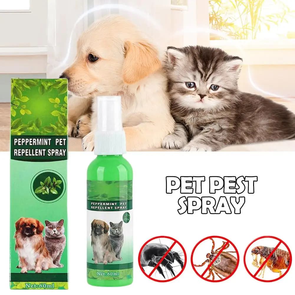 60ml Pet Parassiti Spray Pet Dog Anti-acari delle pulci Zecche Gocce Gattino Trattamento Parassiti Trattamento Polsi Cucciolo Gattino Cucciolo Spray