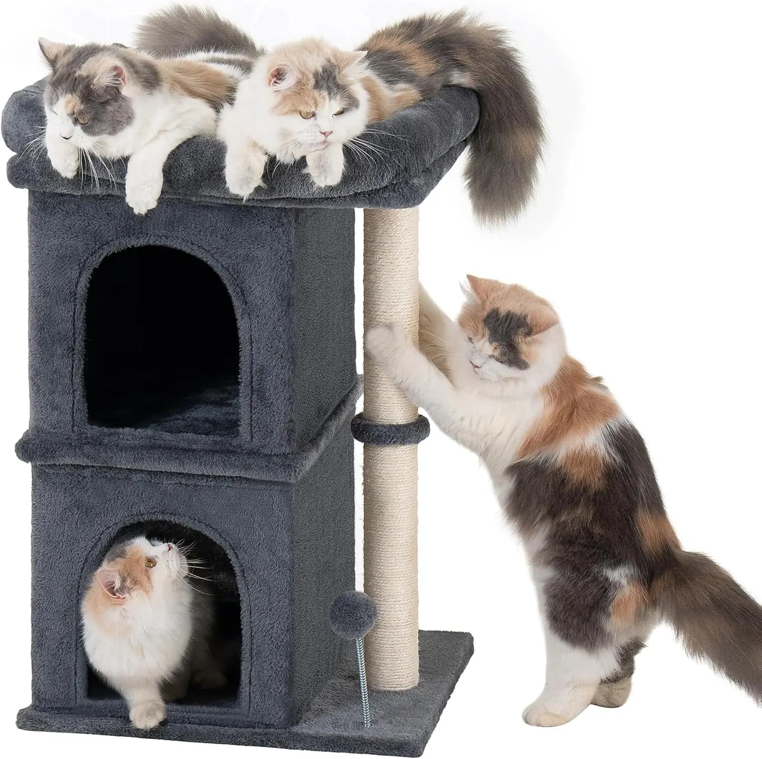 Torre per Gatti da 24 Pollici con Tiragraffi, Letto per Finestra per Gatti Grandi, 2 Cuccette per Gattini, Grigio Scuro