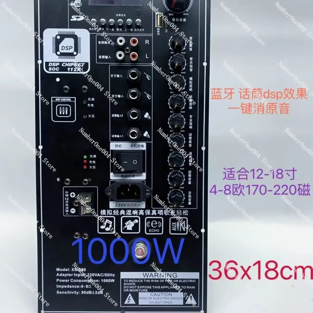 Scheda Amplificatore di Potenza Bluetooth 220V ad Alta Potenza per Danza di Gruppo, Alimentata da Batteria 12V, Portatile con Asta di Supporto per Altoparlante Mobile
