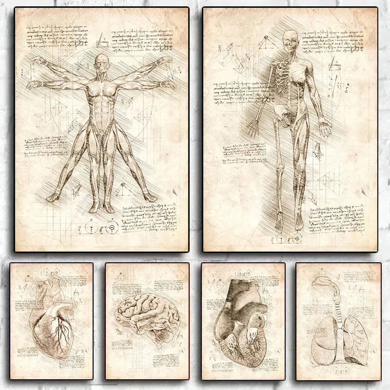 1PC Canvas Painting Vintage Da Vinci Inspired Sketches Vitruvian Man Human Dental Anatomy Poster Wall Art Pictures Home Room