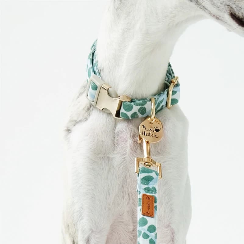 Set di collare e guinzaglio per cani in pelle con stampa floreale con fibbia in metallo di lusso
