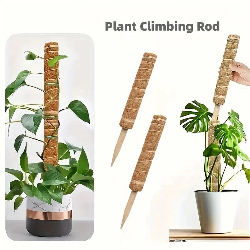 Plant support Monstera for indoor climbing plants, stackable poles, plant support poles, pot plant sticks
