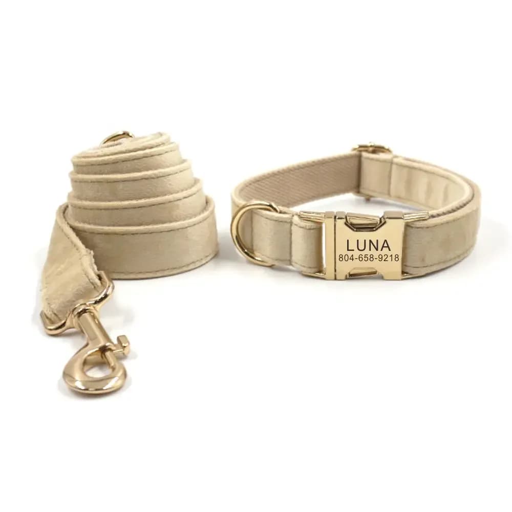 Collare per cani personalizzato collare per animali personalizzato incisione gratuita targhetta identificativa accessorio per animali domestici guinzaglio per collare per cuccioli in fibra di velluto Beige