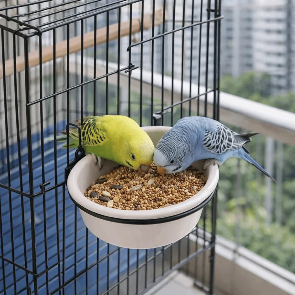 Ciotola in Ceramica per Pappagalli con Bocca Larga, Sganciabile con Supporto, Contenitore per Cibo Anti-Rovesciamento, Stazione di Alimentazione per Pappagalli e Piccoli Animali