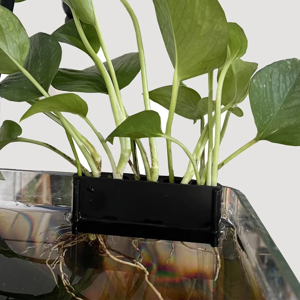 S/L Hanging Aquarium Plant Holder vaso per piante acquatiche con foro tazze per fioriere per acquari nere per piante emersate Aquascape Decor 1 pz