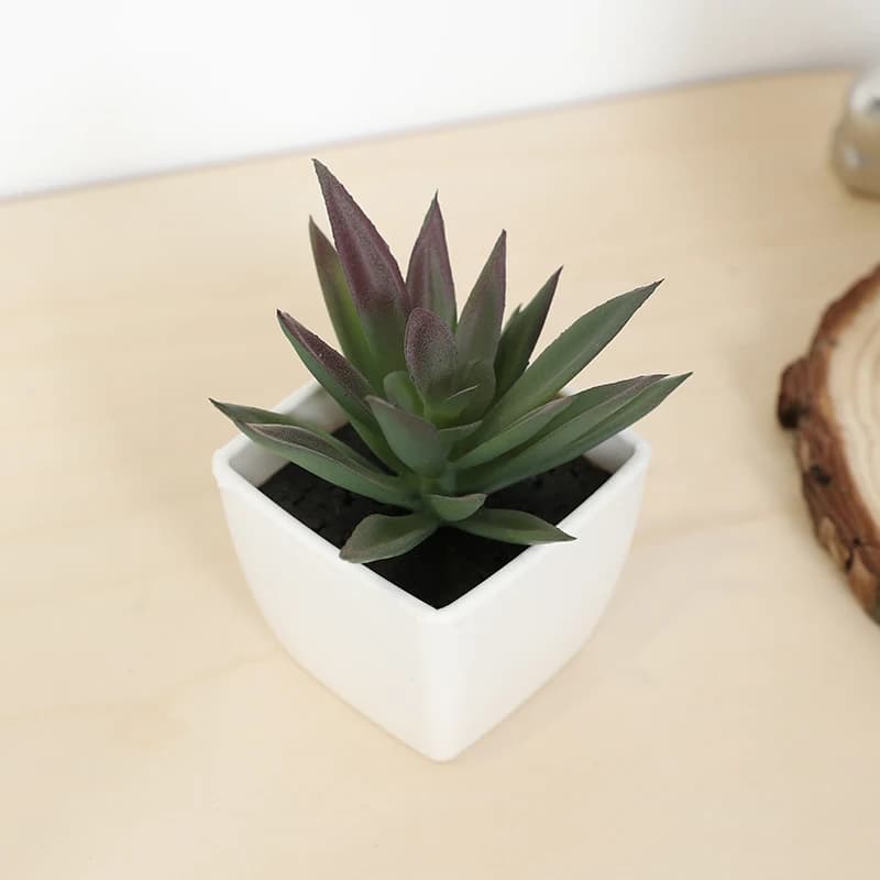 Mini tazza di fata artificiale succulenta, piccola pianta in vaso, vaso bianco in plastica, scrivania, davanzale, decorazione per libreria