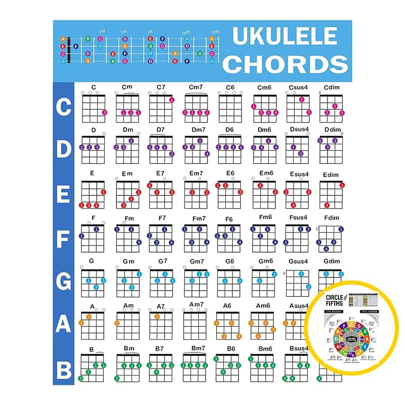 Accordi Cheat Sheets Ukulele Accordi Poster Principiante Laminato Ukulele Accordi Grafico Cerchio dei Quinti Grafico per la Teoria della Musica