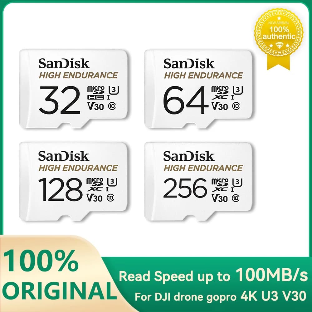 Scheda di memoria Micro SD ad alta resistenza SanDisk V30 C10 U3 4K 32G 64G 128G 256G 100 MB/s Scheda TF per telecamera di sicurezza Dash Cam Phone