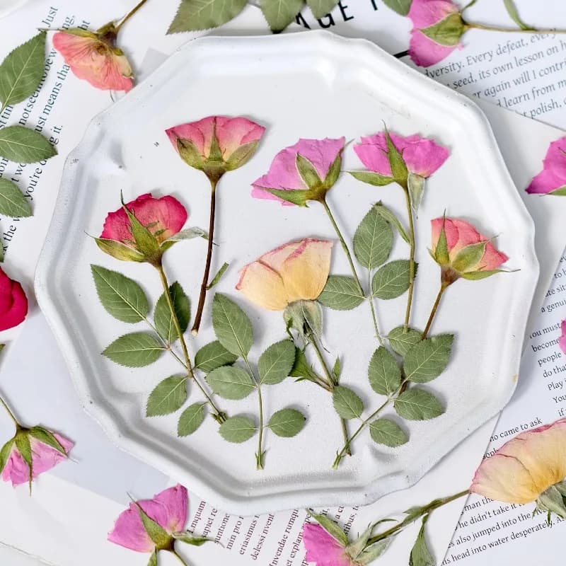 6pcs,Pressed Large Rose Dried Flowers DIY Craft Kit,Real Preserved Flower for Resin Jewelry,Candle,Scrapbooking,Home Wall Decor