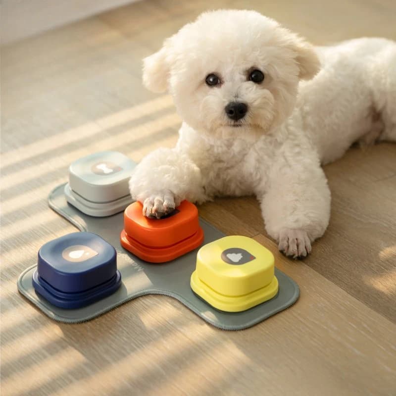 Pet communication button Dog speaking interaction training Sound button Recording sounder Squeeze box
