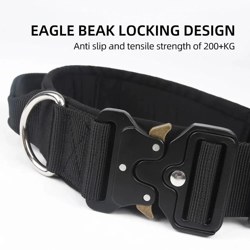 Pettorina per cani Tutto Accessori per animali Guinzagli per cani Collari Forniture per animali Guinzaglio Grande per animali domestici Set flessibile per bulldog francese medio