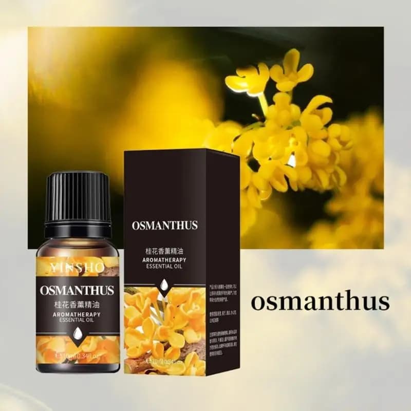 J0MA Fragranze amichevoli da viaggio Olio volatile per ricarica profumo per auto Vari profumi