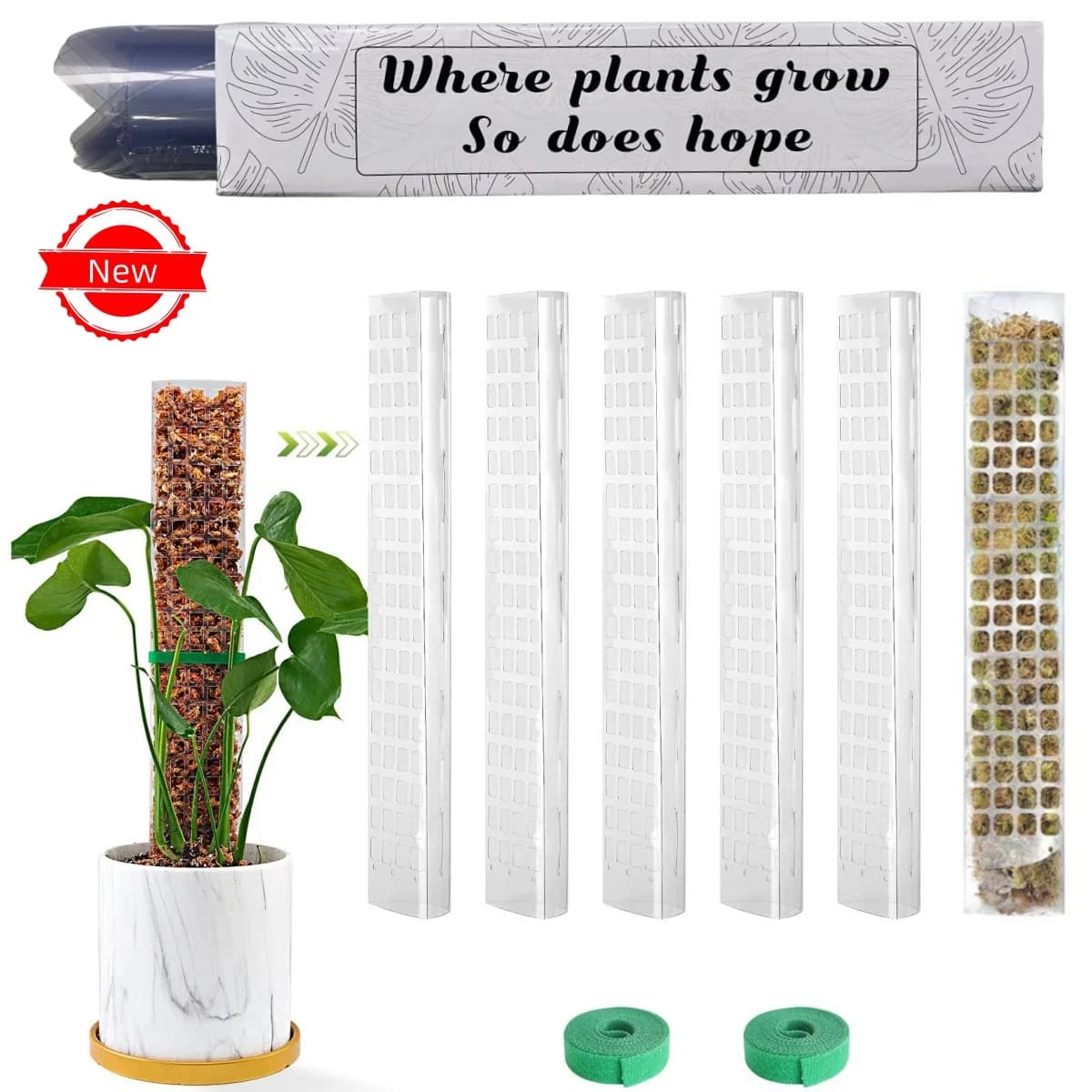Plants Musk Pole Garden object Flower plant Scalators Accessories bonsai Vasi Tutori, for florists Plant growth support