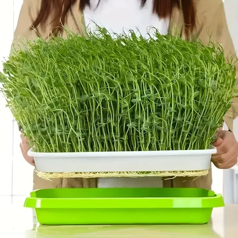 2026New Home Seed Germination Tray Seedling Planting Pot Wheatgrass Cultivation Soilless Tray for Gardening And Agriculture