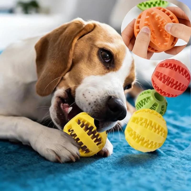 Palla Giocattolo per Cani, Non Tossica e Resistente ai Morsi, per Cani, Cuccioli e Gatti, Dispenser per Cibo e Snack, Palla per Pulizia dei Denti