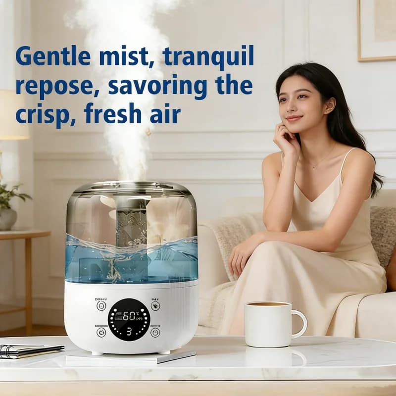 Umidificatore d'Aria Professionale da 3L con Diffusore di Aromi per Oli Essenziali, Grande Capacità per Casa e Ufficio, Diffusore di Nebbia per Piante e Aromaterapia