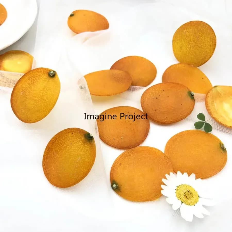 5 pz Secco Pressato Arancia Kumquat Buccia Fette Pianta Frutto Herbario Per Gioielli Cornice Per Foto Cassa Del Telefono Segnalibro Cartolina FAI DA TE