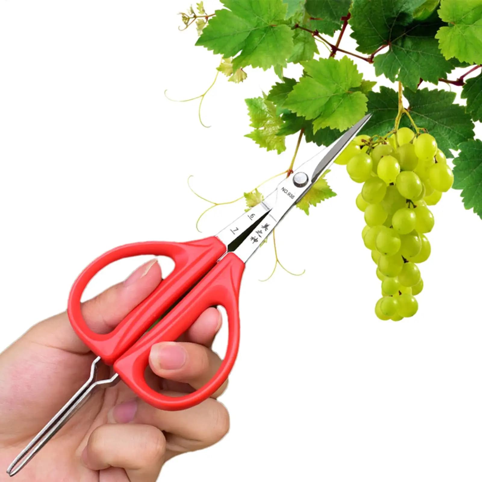 Grape scissors 2 in 1 with tweezers Stainless steel pruning shears Garden equipment for fruit harvesting Bonsai Vegetable patches