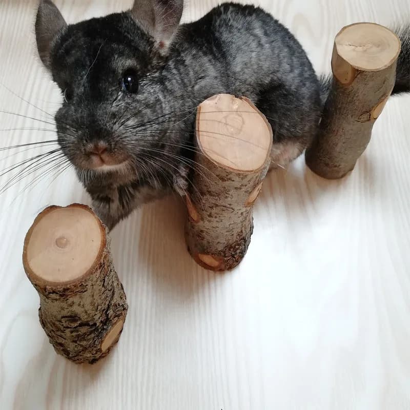 Pet Hamster Toy Natural Apple Tree Branch Teeth Grinding Playing Standing Cage Toy Rabbit Chinchilla Small Animal Supplies New